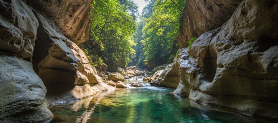Top 10 places to visit in Dehradun