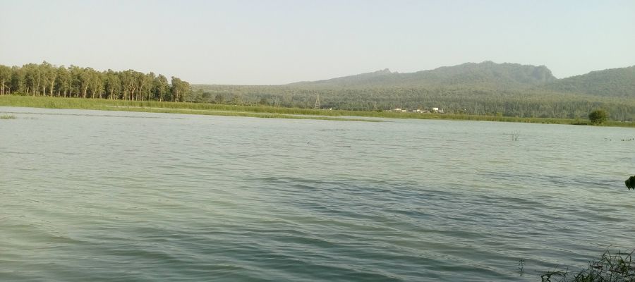 Top 10 places to visit in Dehradun