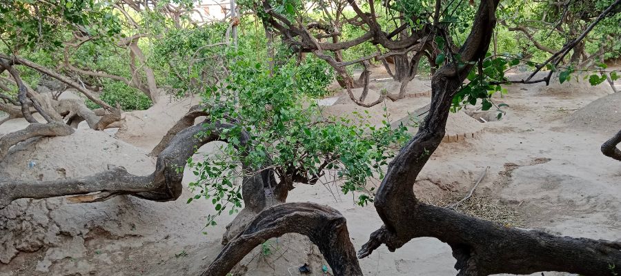Mathura Vrindavan Places