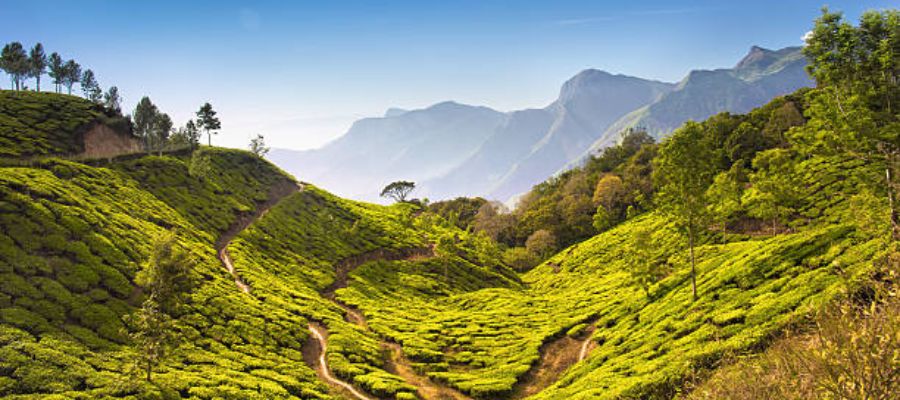 Hidden Gems of Assam