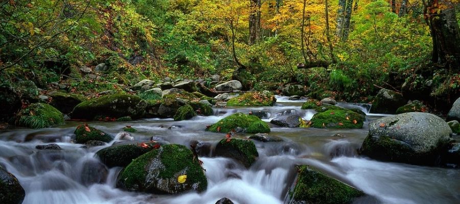Hidden Gems of Assam
