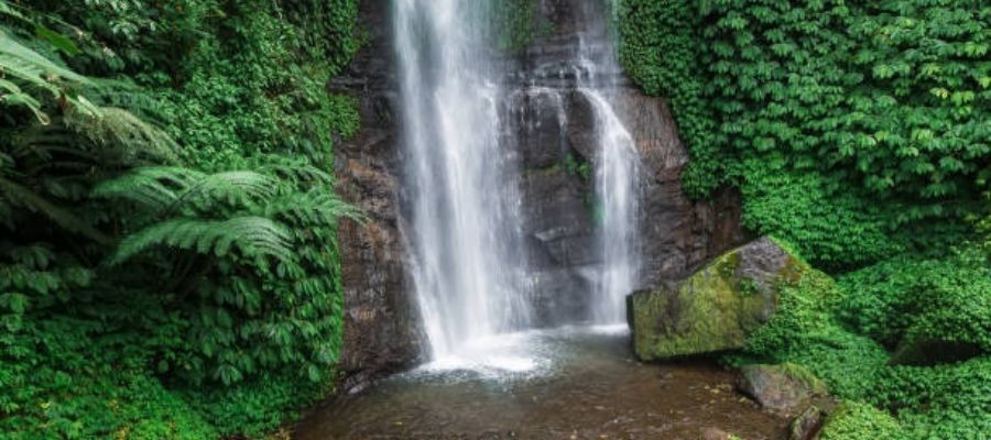 Hidden Gems of Assam
