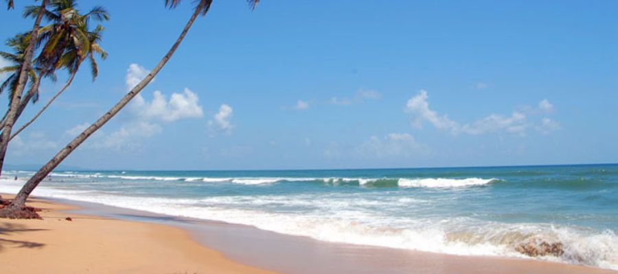 Top 10 Places To Visit in Goa